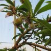 Azienda agricola